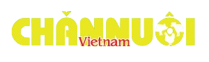 Vpma.vn